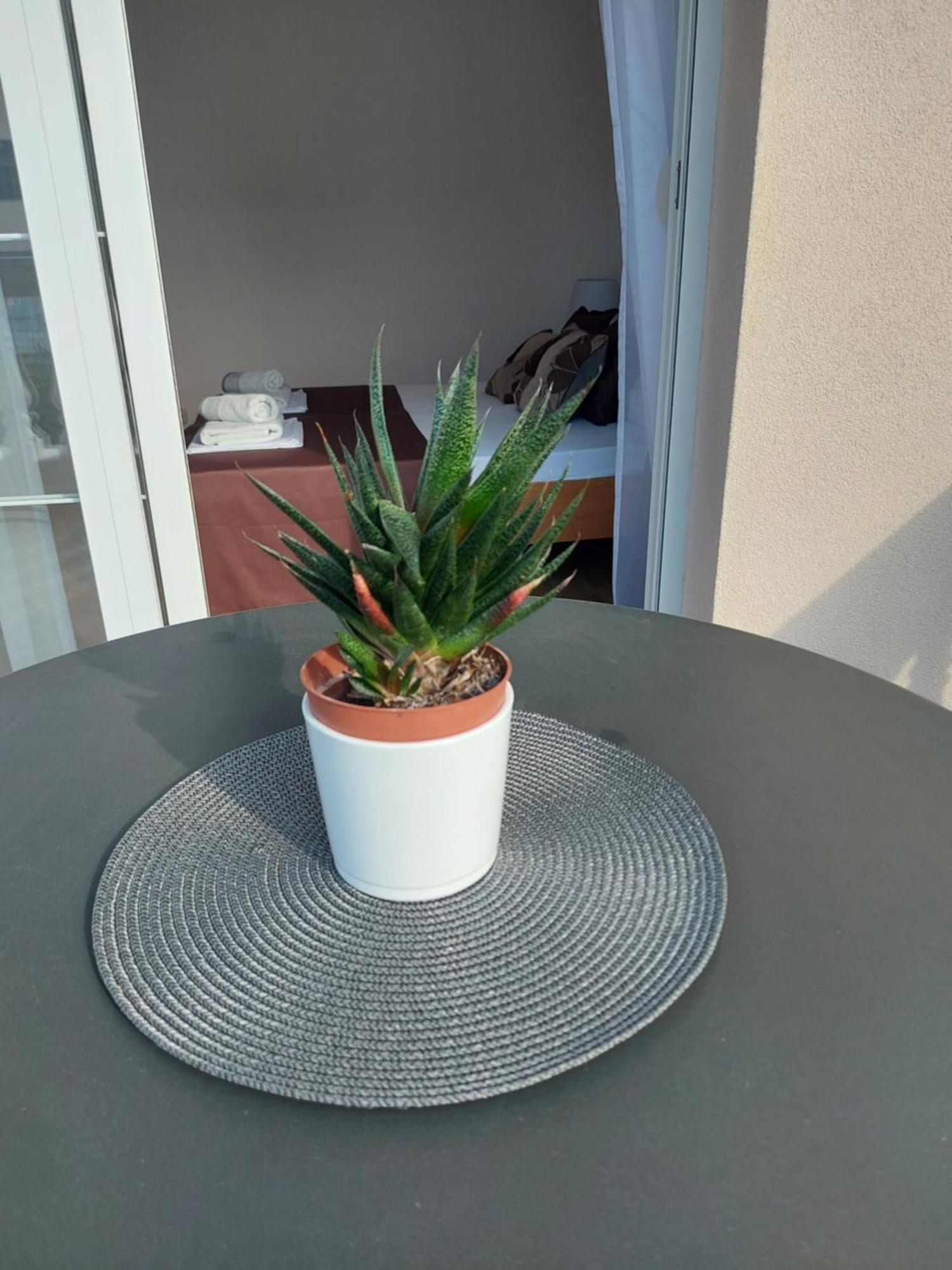 Apartmani Delac Vodice Quarto foto